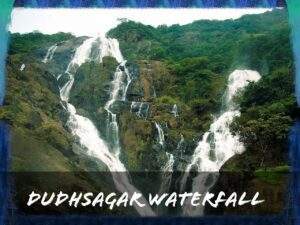 Read more about the article Dudhsagar Waterfalls Goa – The Ultimate Guide 2022