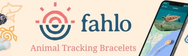Fahlo Reviews- Is Fahlo Legit? (The Comprehensive Guide)