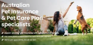 Read more about the article Knose Pet Insurance Review: Is It Worth the Investment?