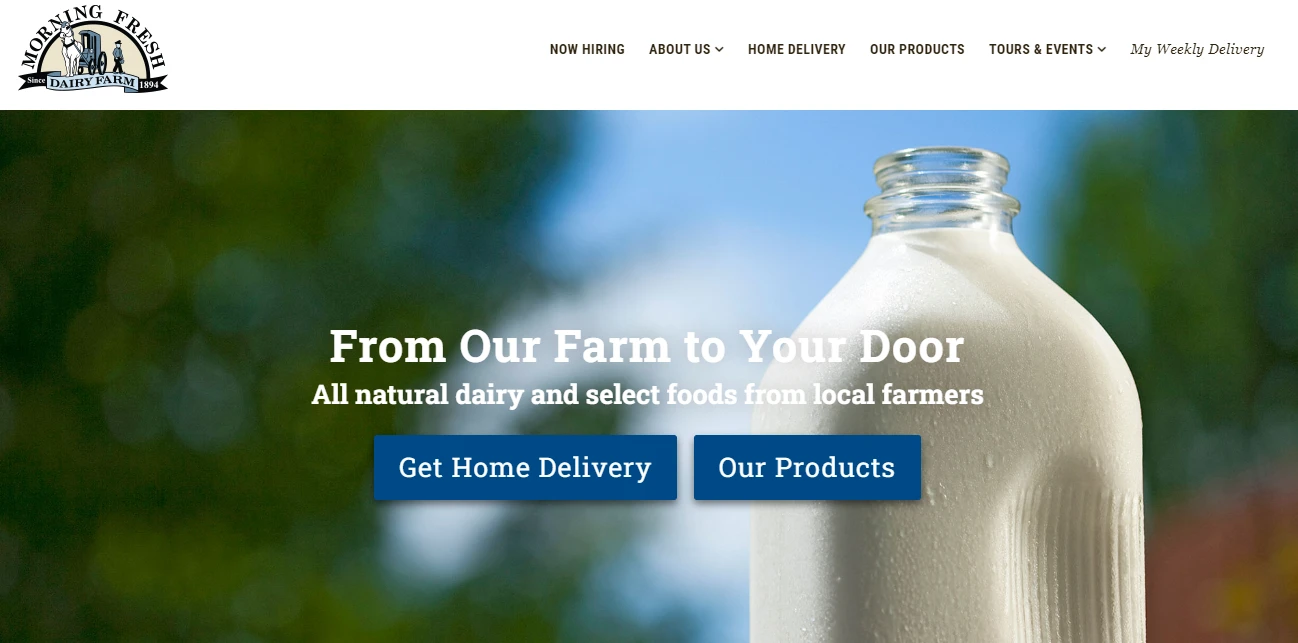 Read more about the article Reviewing the Morning Fresh Whole Milk – Is it as Good as They Say?