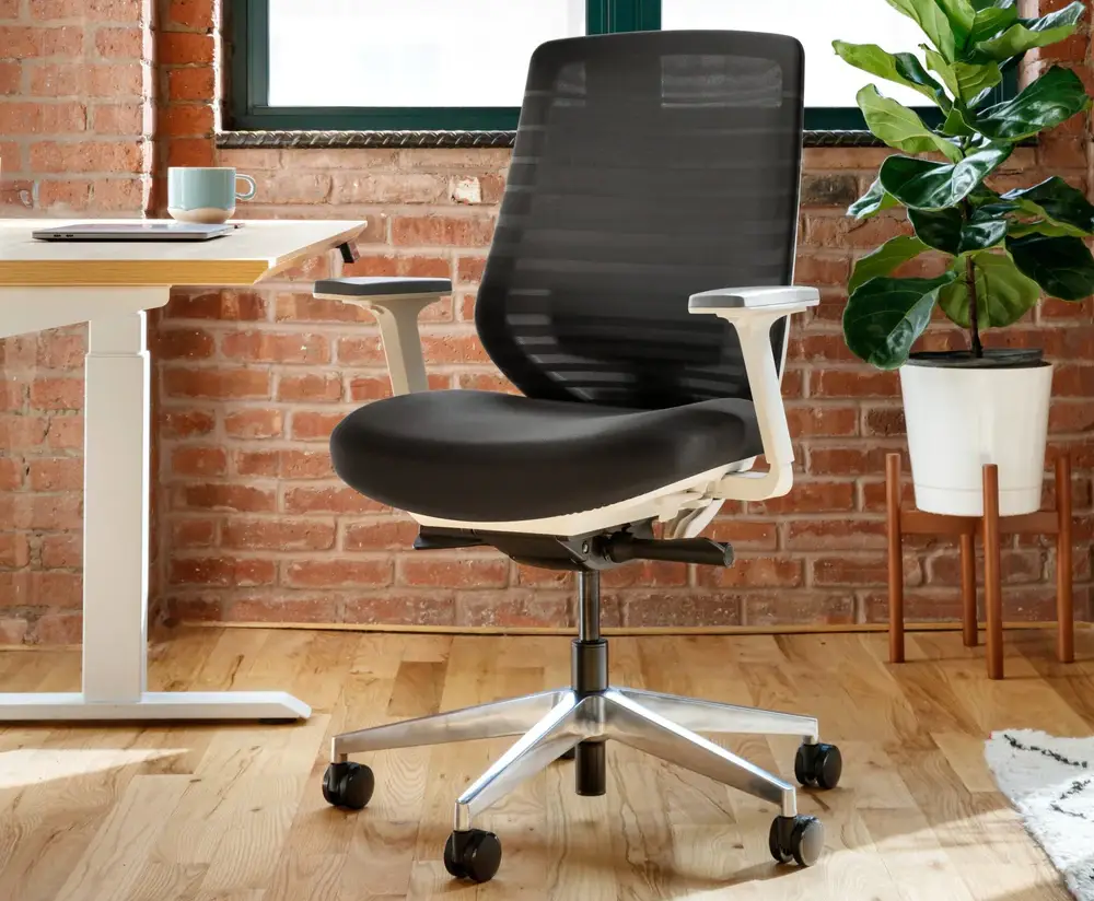 Goodtone Yucan Ergonomic Chair Review: Is It Worth Trying?