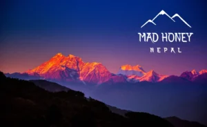 Read more about the article Madhoney.net Review – Is Mad Honey Nepal Legit or a Scam?