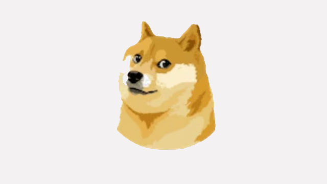 Why Did Elon Musk Change the Twitter Logo to the Dogecoin - Explained