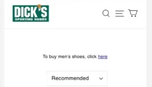 Read more about the article D-Sportinggoods.Com Review: The $19.9 Hoka Sneakers Scam Alert