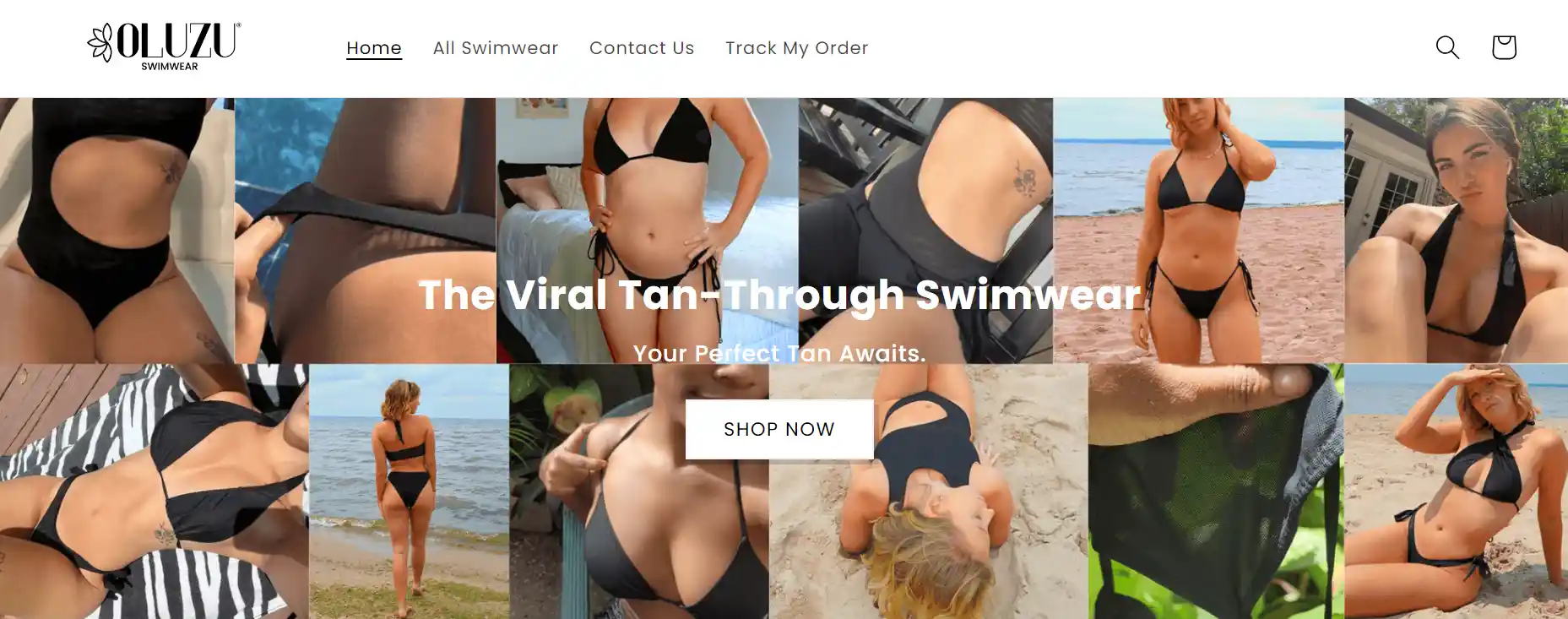 You are currently viewing Oluzu Swimwear Reviews – Is Oluzu Swimwear Legit or Scam?