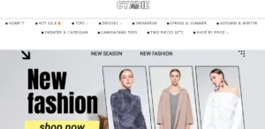 Read more about the article Cyabie.com Reviews: Is This Women’s Clothing Store Legit?