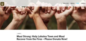 Read more about the article Is Maui Strong Fund Legit? The Legitimacy of the Maui Strong Fund!